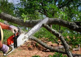 Seasonal Cleanup (Spring/Fall) in Greencastle, PA